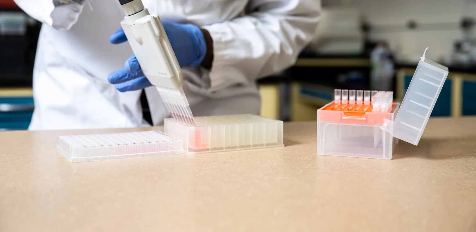 Researcher in microbiology using equipment