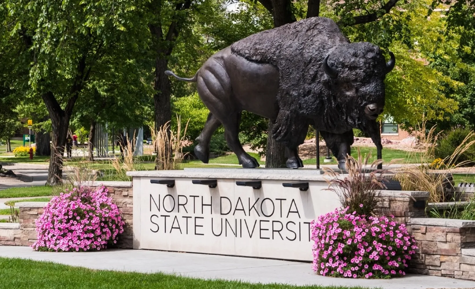 NDSU Bison Statue