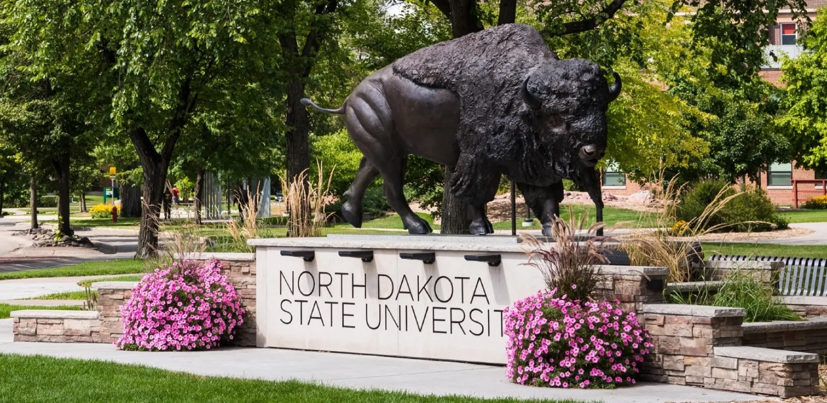 NDSU Bison Statue