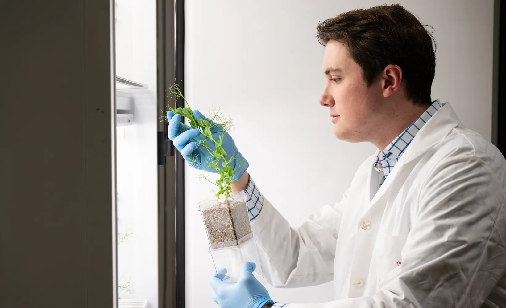 microbiology student works with a plant speciment in the lab