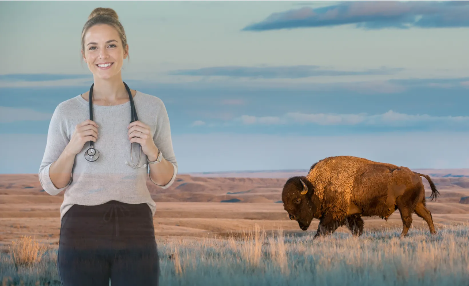 Nurse stethoscope out in prairie with a bison