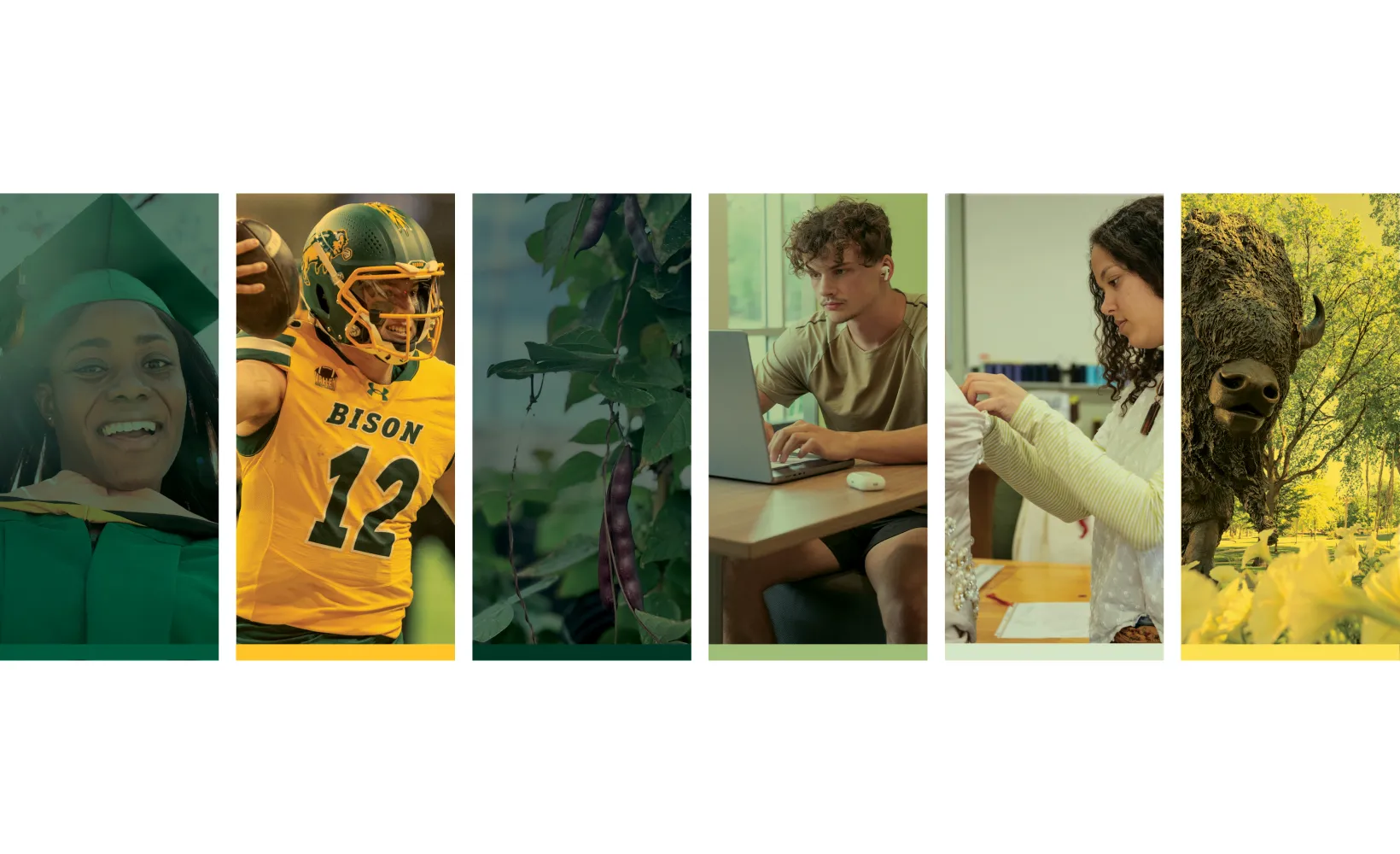 hero graphic created by Marketing & Communications for the NDSU Brand Center