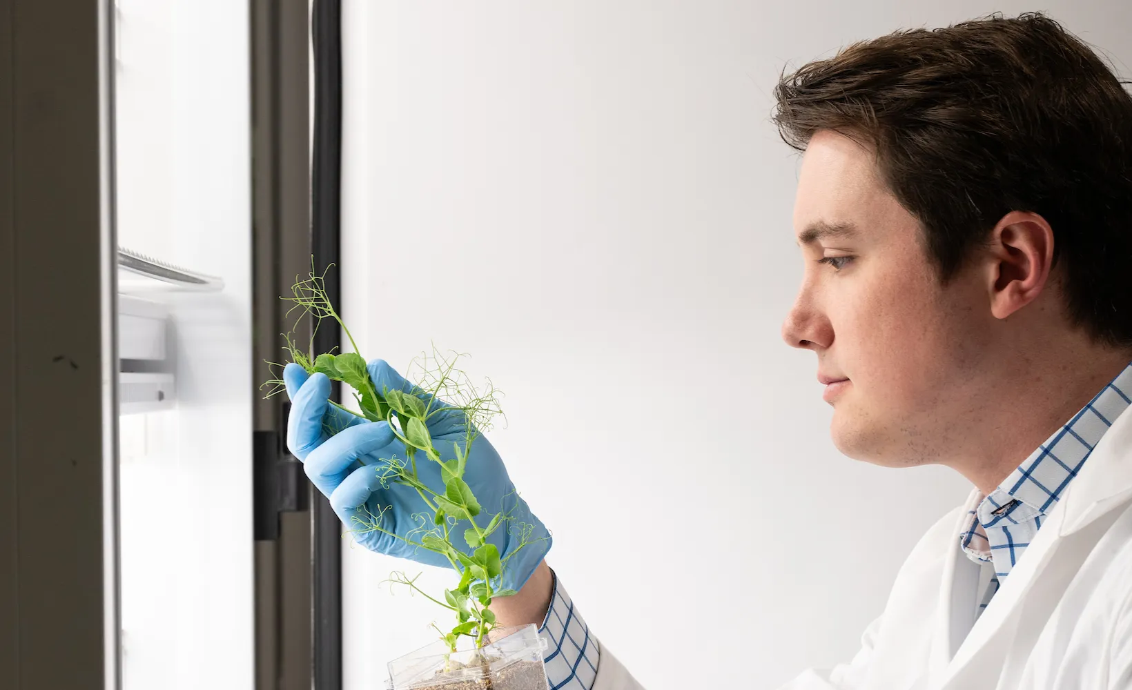 Science Complete Flower Bachelor of Science in Microbiology