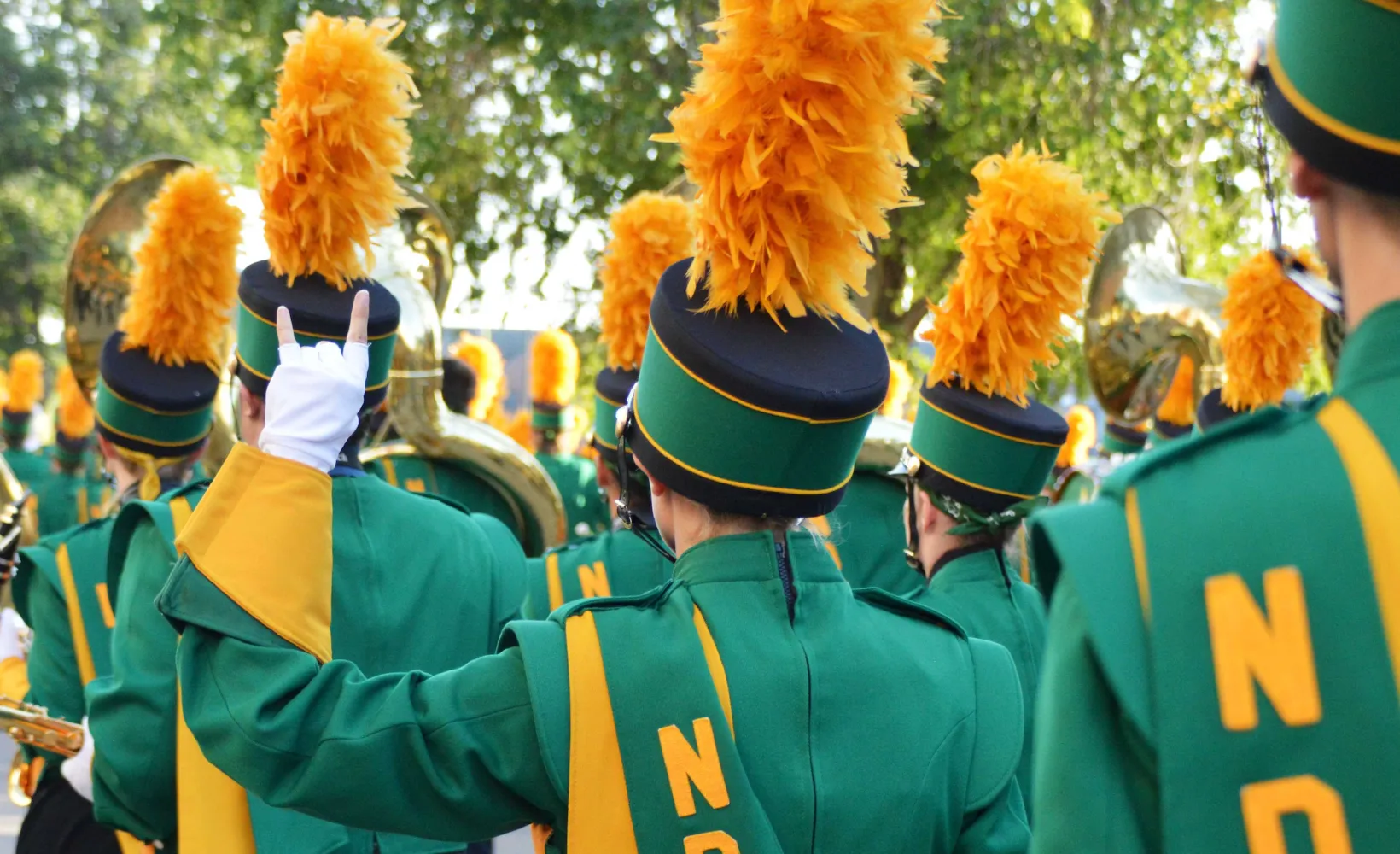 A back view of the NDSU Marching Band marching on the street