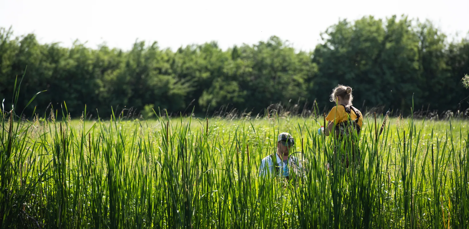Two research students doing research in a grassy wetland area with tall green grasses and trees in the backgroud