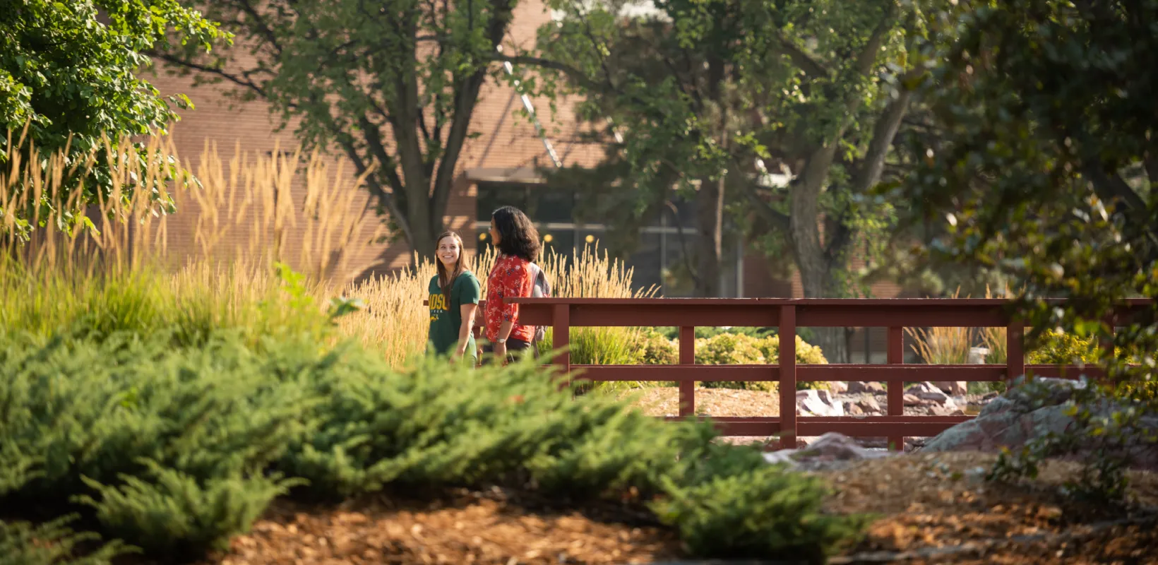 Students walking on campus. 
