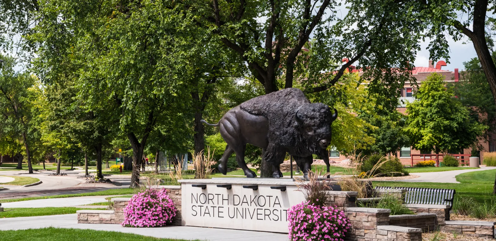 Bison statue at NDSU campus
