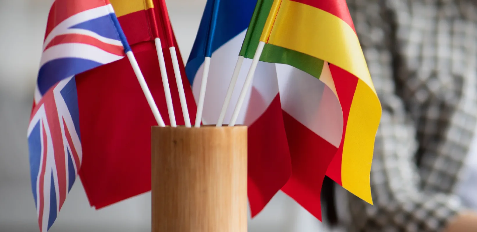 Multiple countries flags in a cup holder with a person on a laptop 