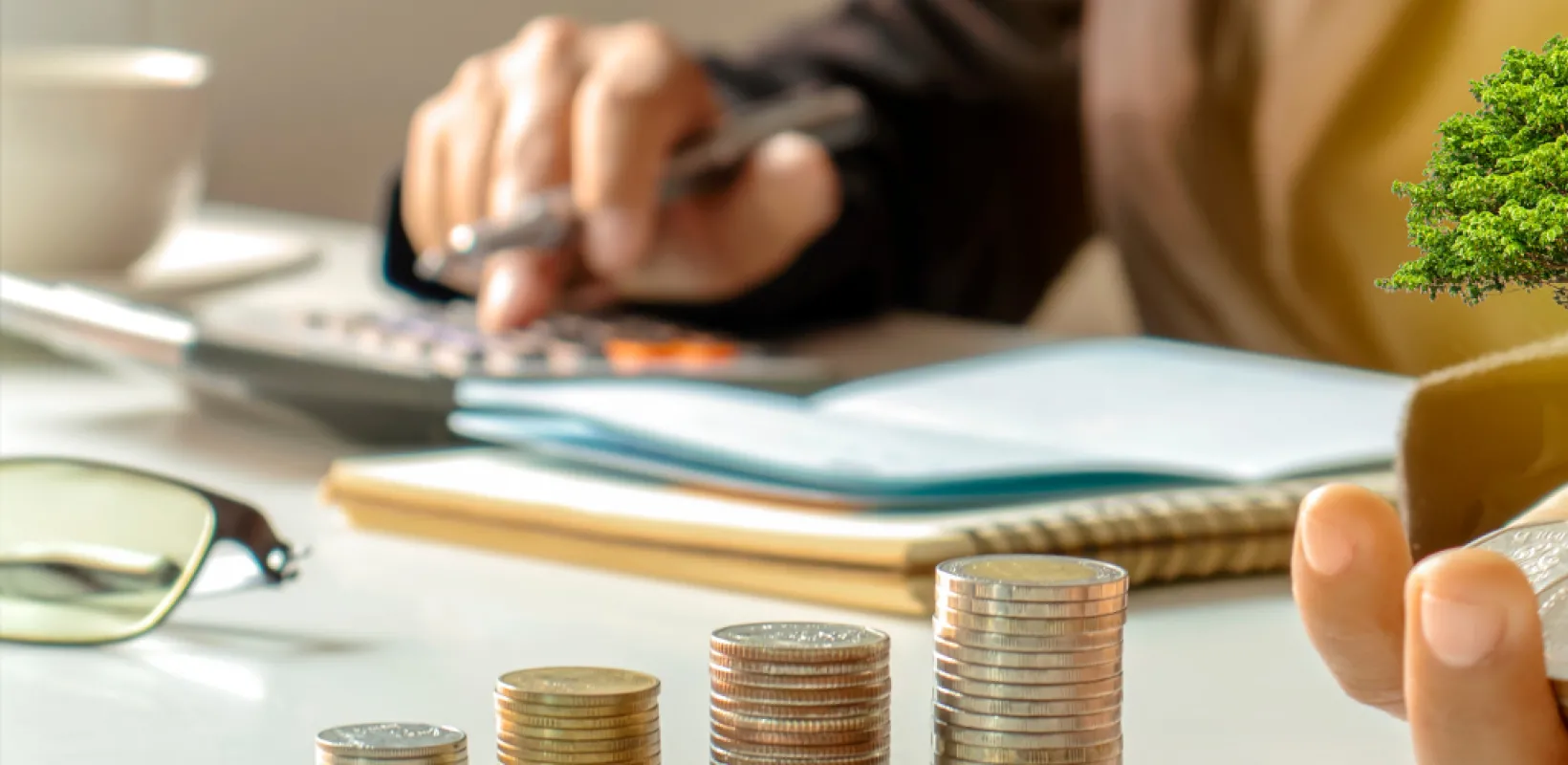 Person holding a pen sitting at a desk with a notebook and calculator and stack of coins holding money with a small tree growing out of it. 