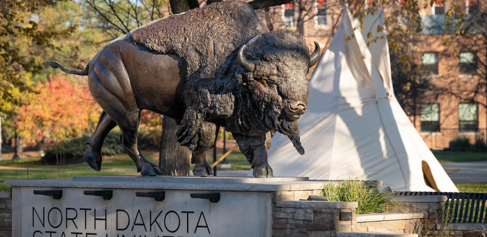 Bronze Bison statue with teepee in the background.