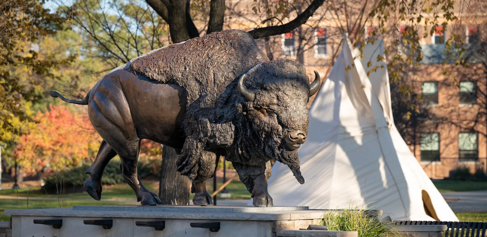 Bison statue locateed on the NDSU campus with teepee in the background