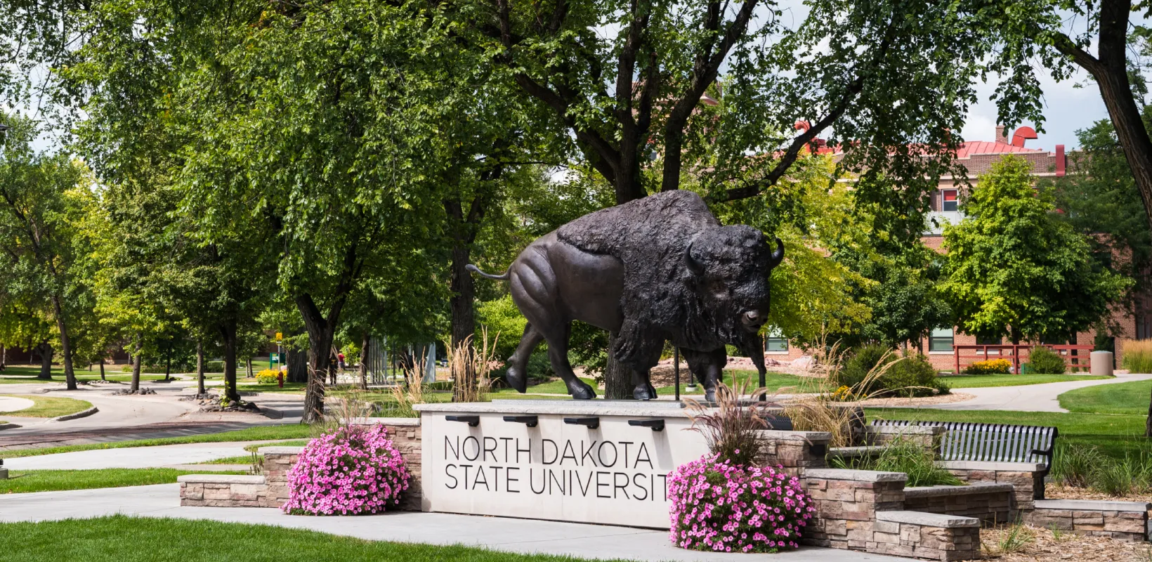 Bison statue located on the NDSU campus