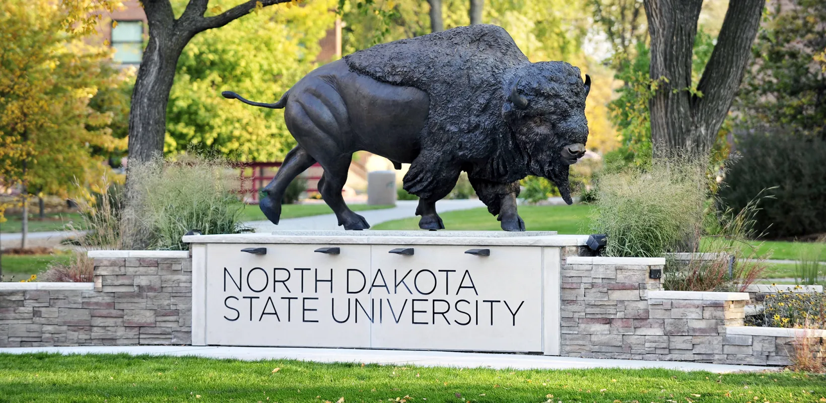 Bison statue locateed on the NDSU campus