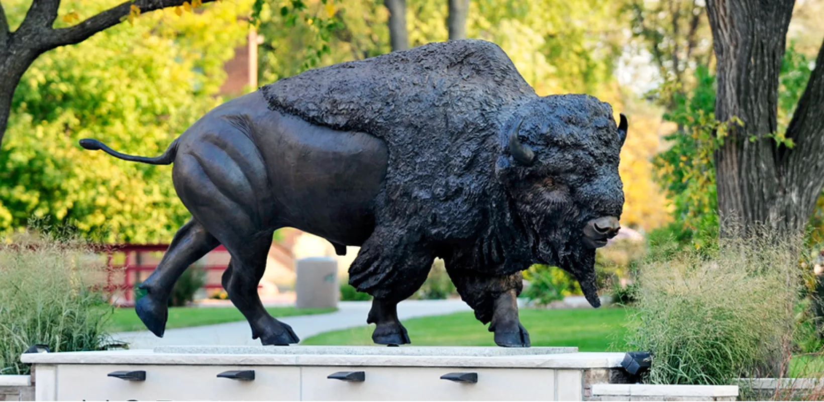 Bison statue