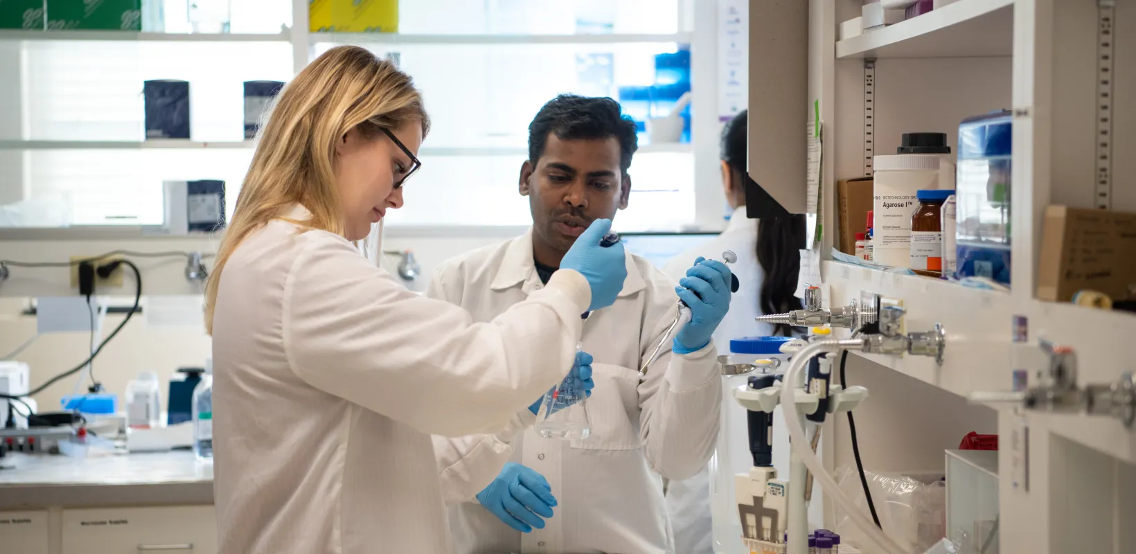 image of students in a lab