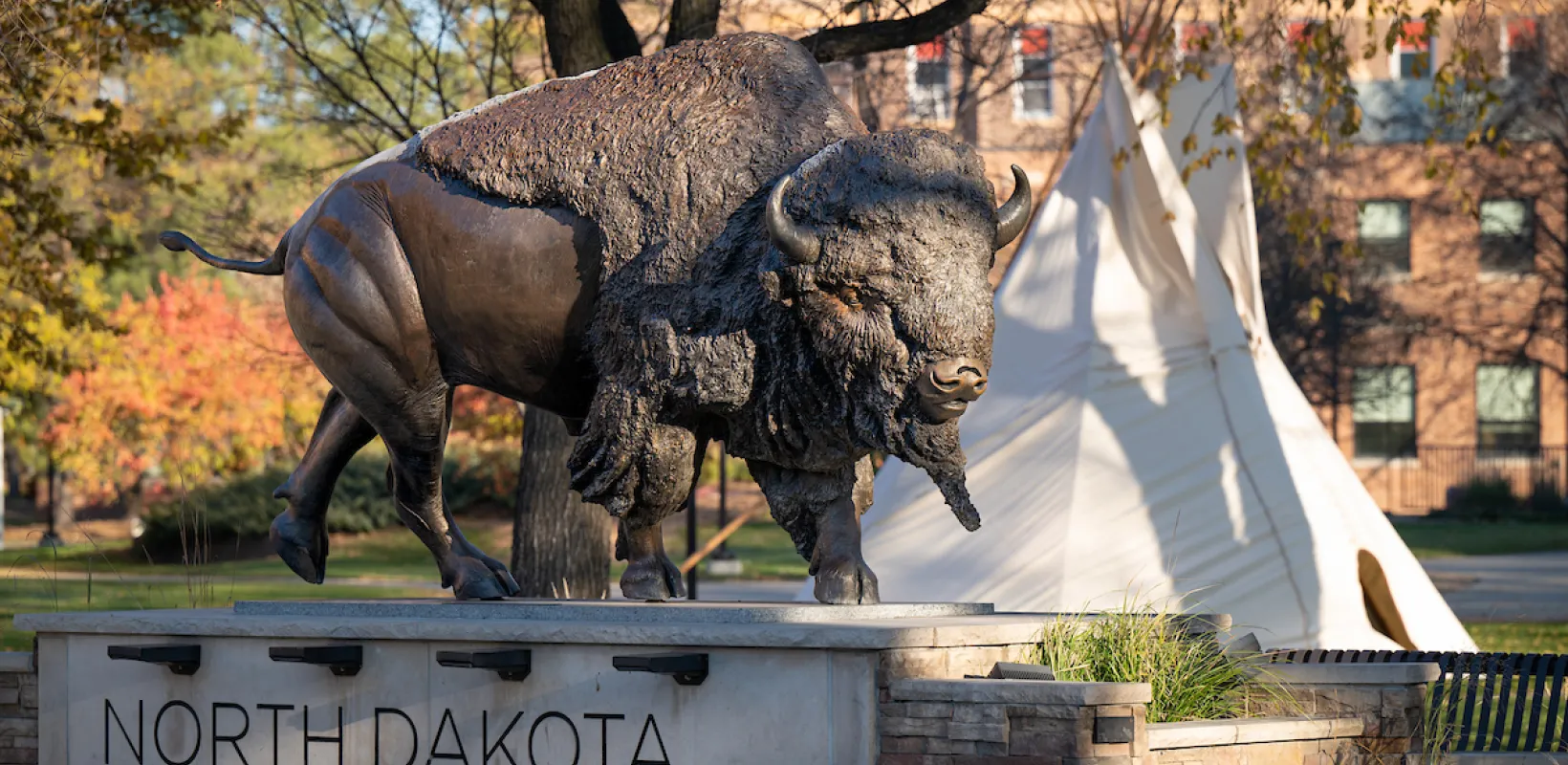 Bison statue locateed on the NDSU campus with teepee in the background