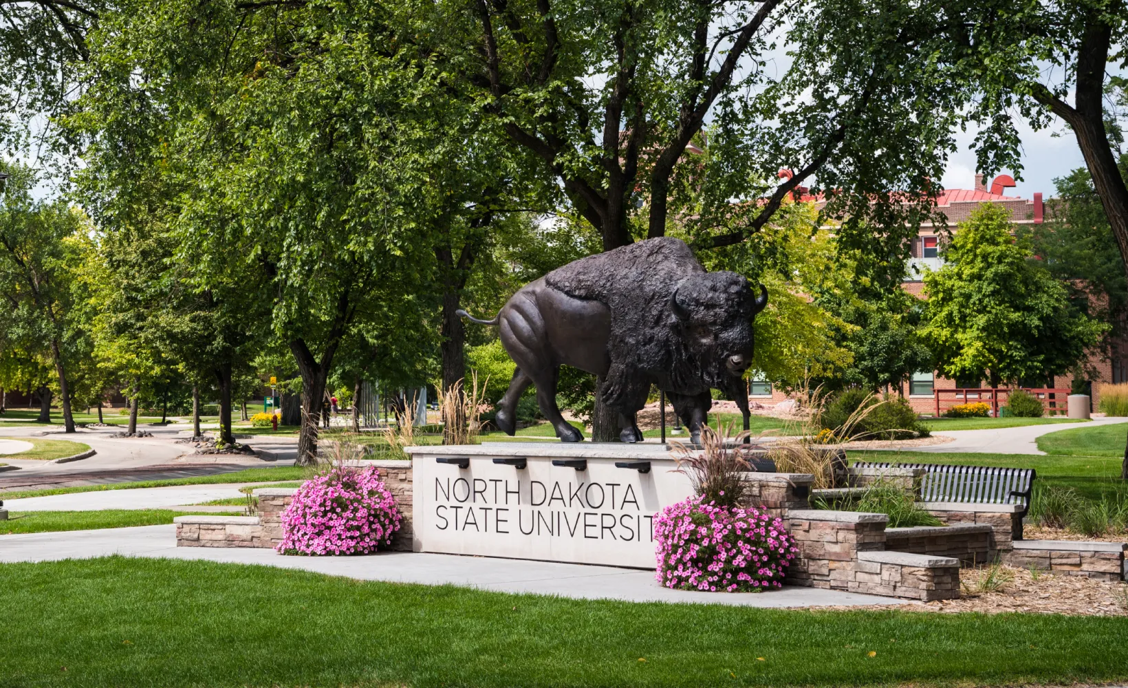 Bison statue on the NDSU campus