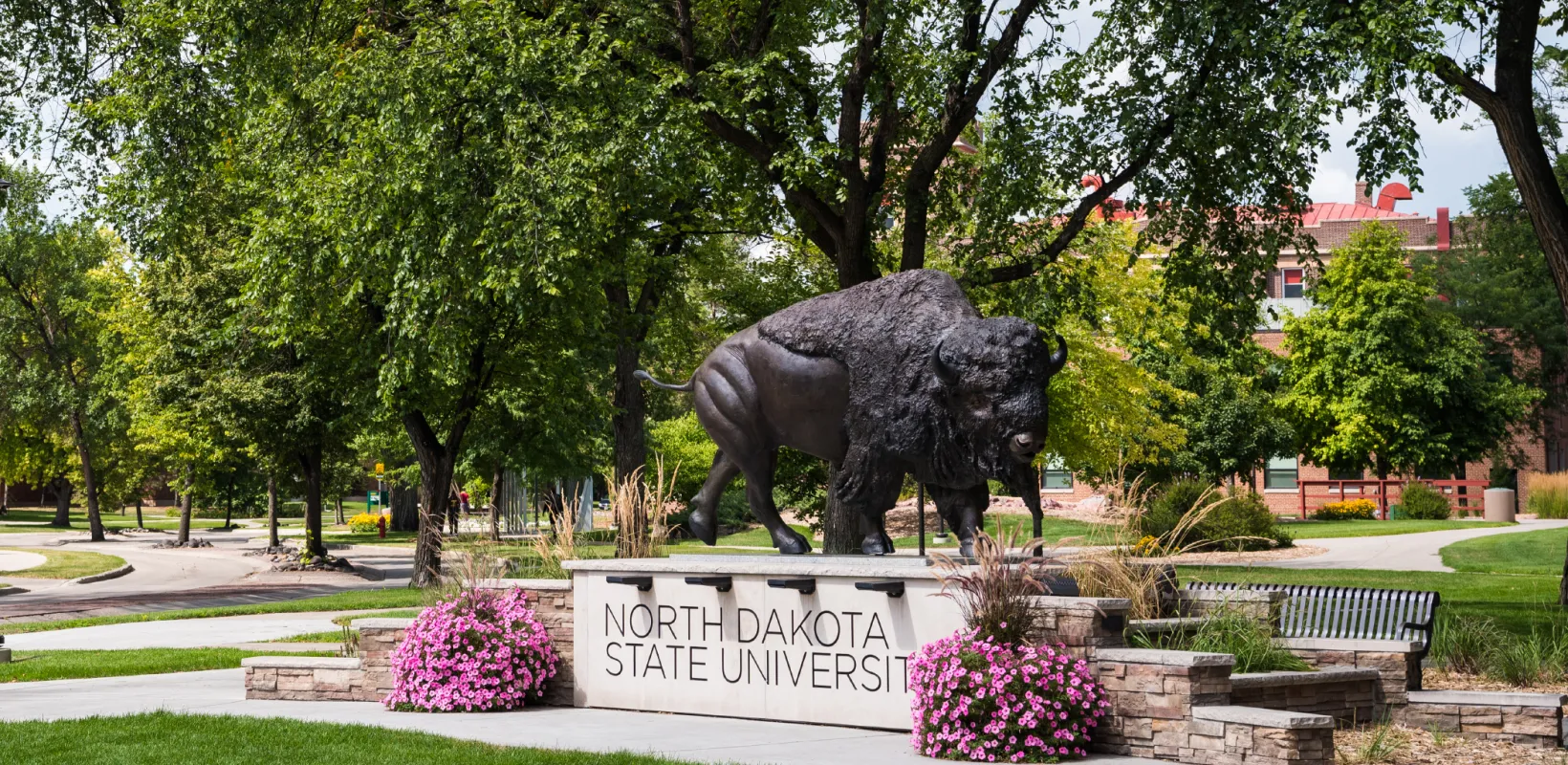 Bison statue locateed on the NDSU campus