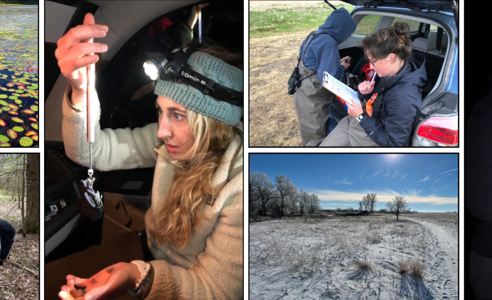 Students conducting field research. 