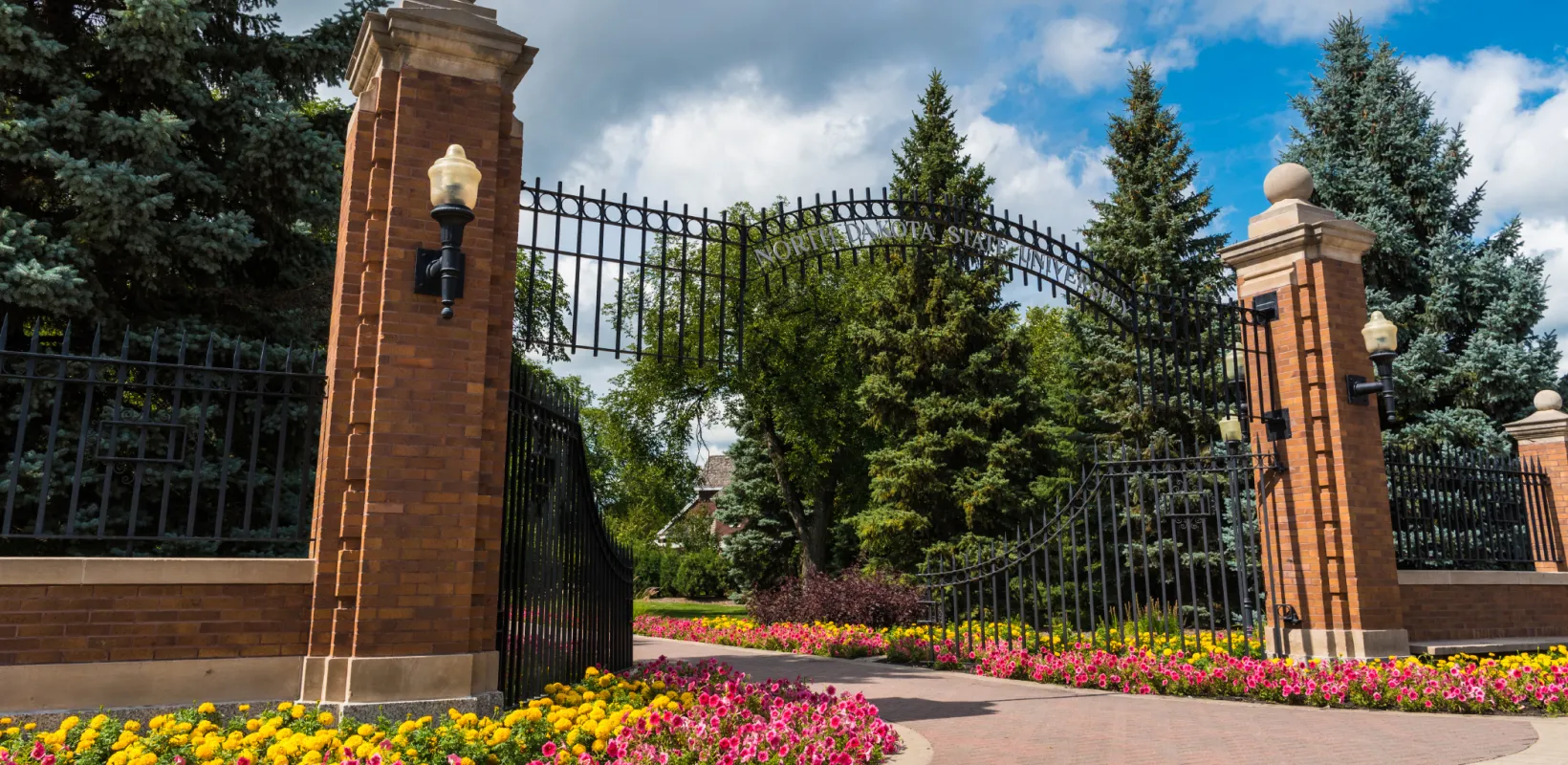 Admission Requirements