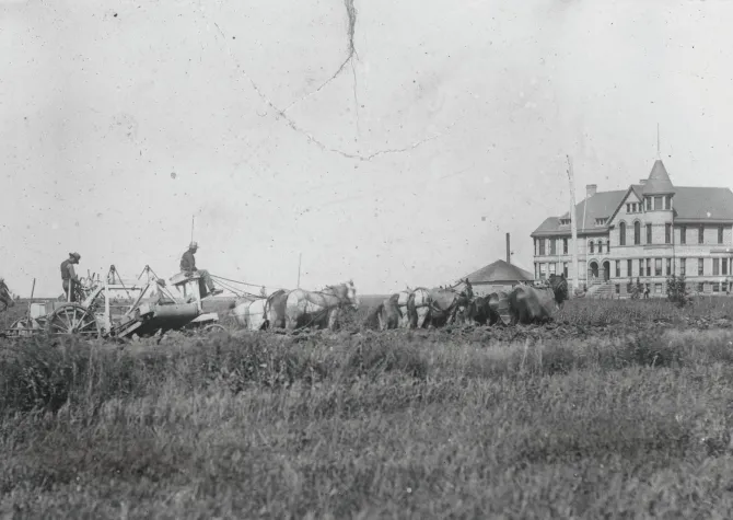 Men grading street with horses near Old Main building