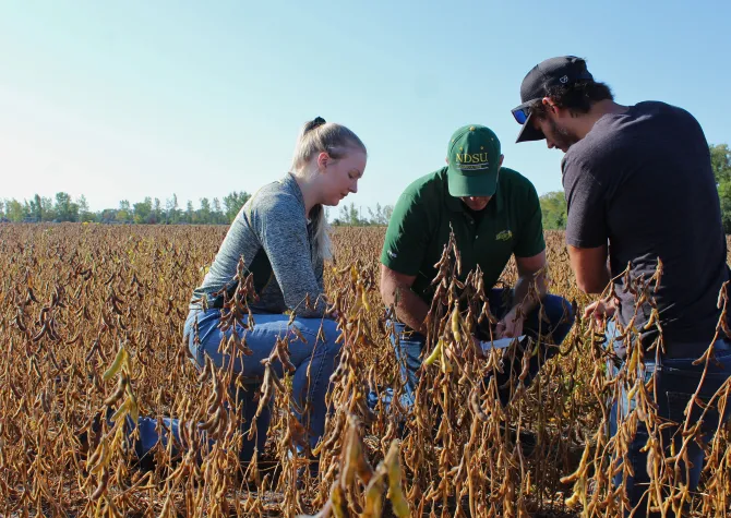 Agriculture students learning from professor in field