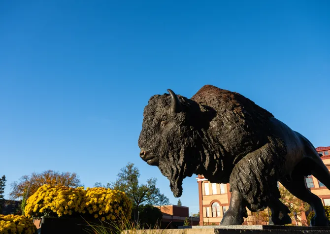 Bison Statue