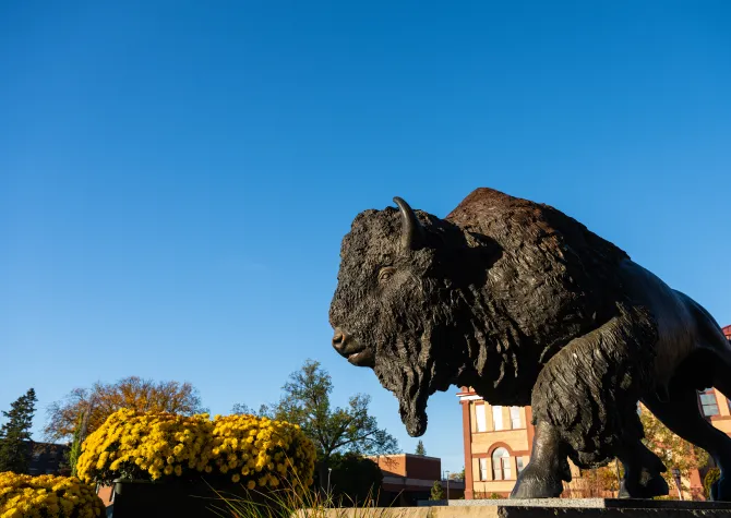Bison Statue