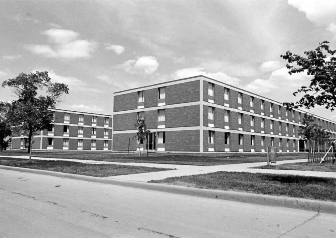 Reed Johnson History