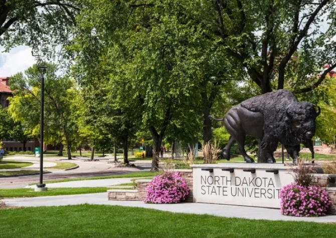 NDSU Bison Statue