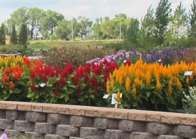 NDSU Horticulture Gardens on Main Campus