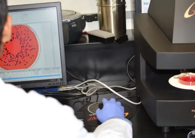 Person looking at biological specimen through microscope
