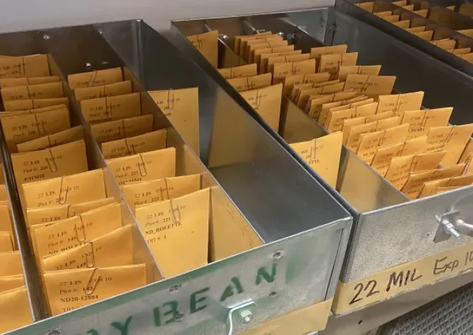 Soybean seed packets