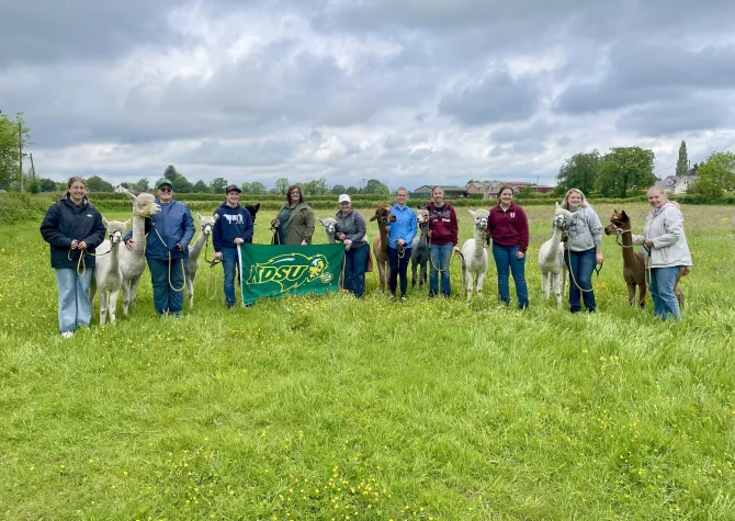 students holding NDSU sign with lamas during study aboard