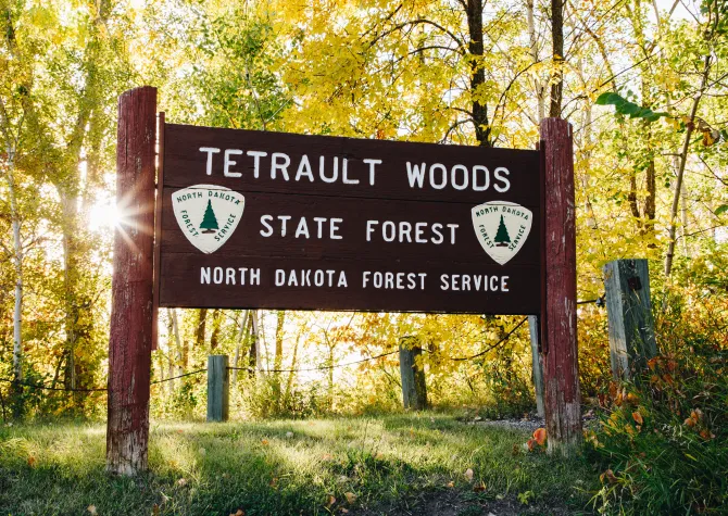 A sign that reads "Tetrault Woods State Forest" backlit by the sun