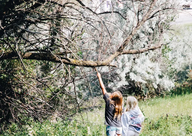Two young girls look at dead branches on a tree