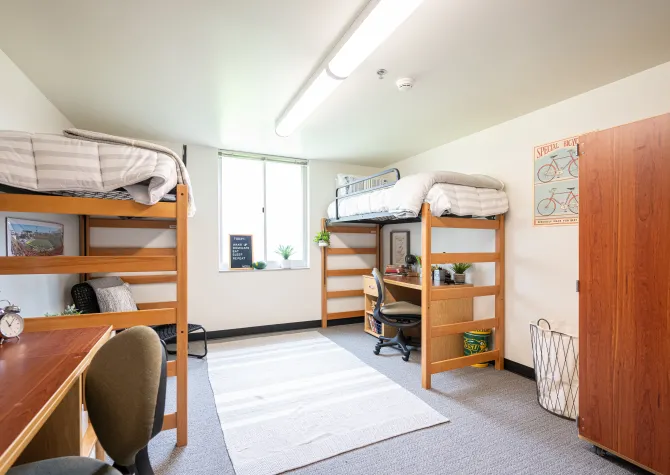 pavek hall showroom of lofted bed