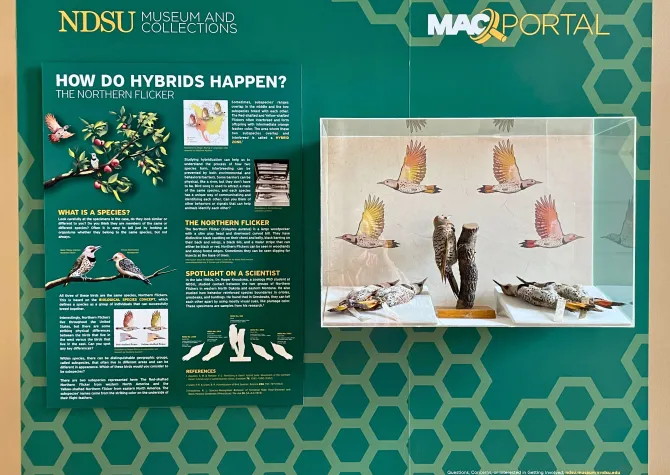 How Do Hybrids Happen Portal with informational text and display case of birds