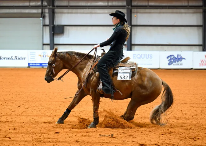 NDSU Equestrian riding horse during competition in arena