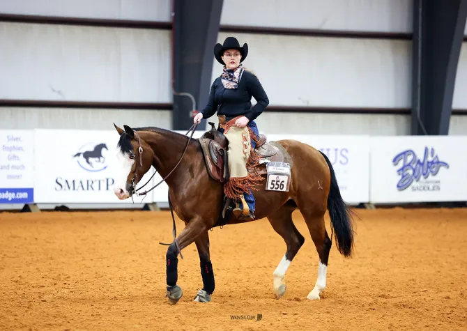NDSU Equestrian riding horse during competition in arena