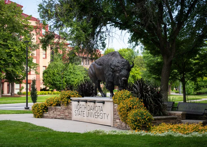 Bison Statue