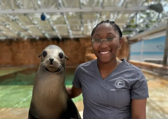 Animal Sciences Alumni Phe Strachan with seal