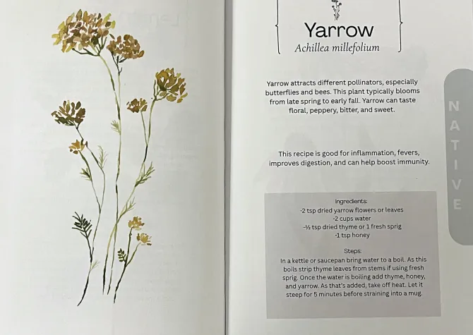 Open Book with watercolor painting of flowers and tea recipes