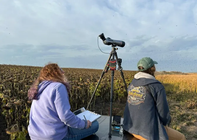 Two research students sitting in a field doing research on a cloudy morning.