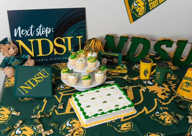 NDSU cake and cupcakes