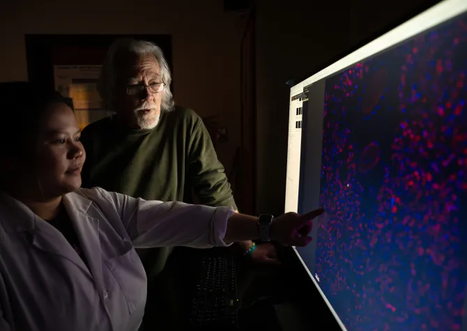 NDSU Distinguished Professor of animal science Larry Reynolds