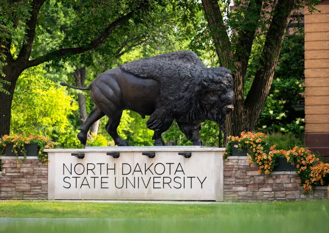 Bison statue on NDSU campus