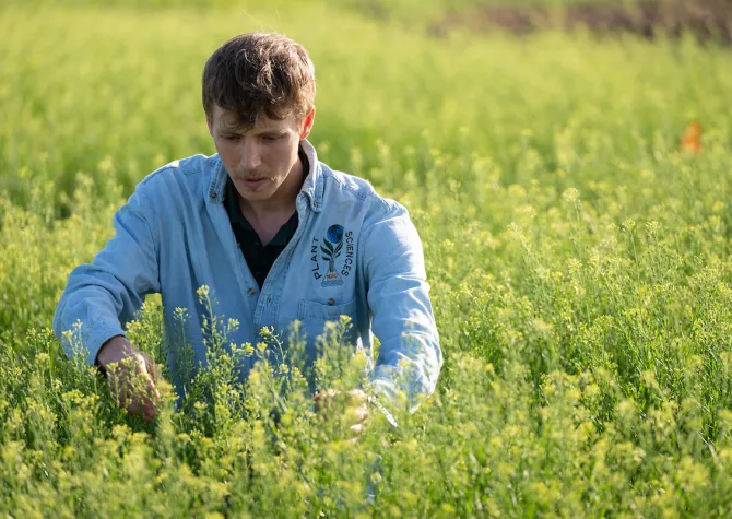 Plant Science student out in the field researching crops 