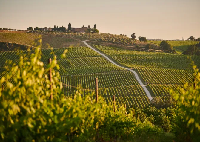 ★Brochure_Faculty-Led Italy Agribusiness.png