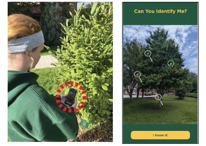 Campus Arboretum Self-Guided Tour App Page sample and person engaging with app